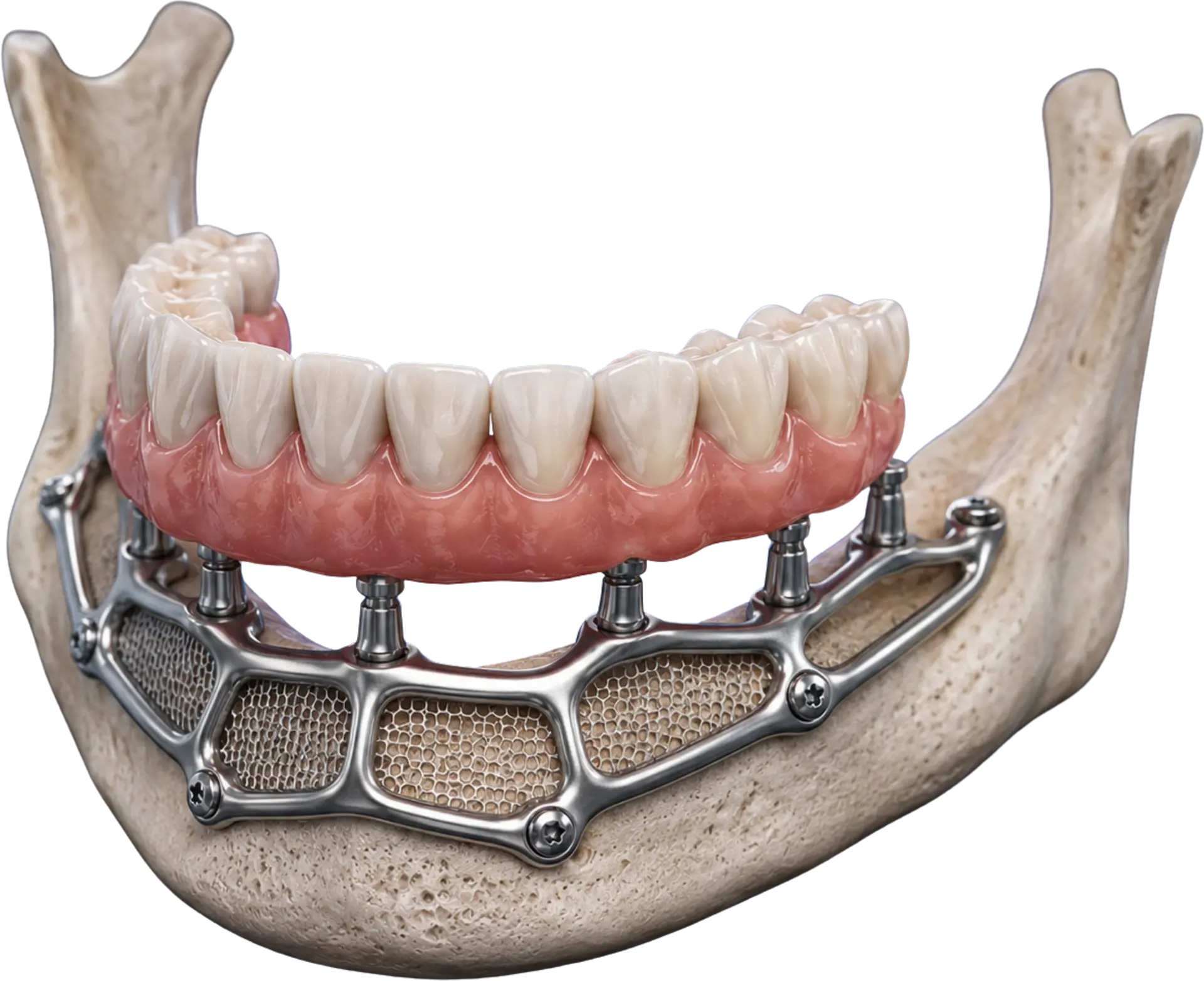 jaw